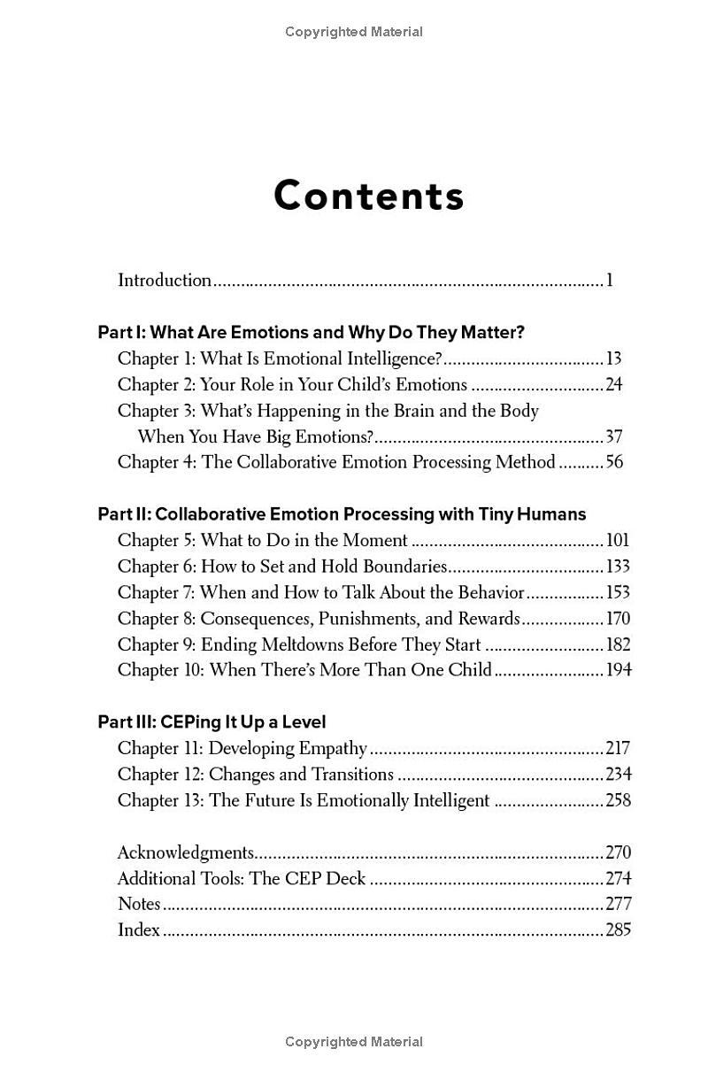 Sách ngoại văn: Tiny Humans, Big Emotions