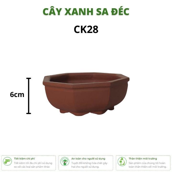 Bộ chậu lục giác mini màu ngẫu nhiên nâu, đen CK28 trồng hoa, cây cảnh để bàn, cây bonsai mini