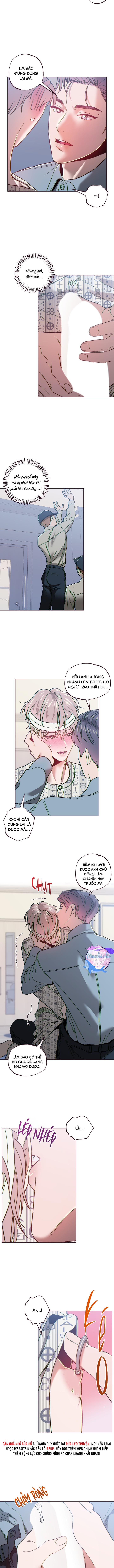 sụp đổ chapter 31 6