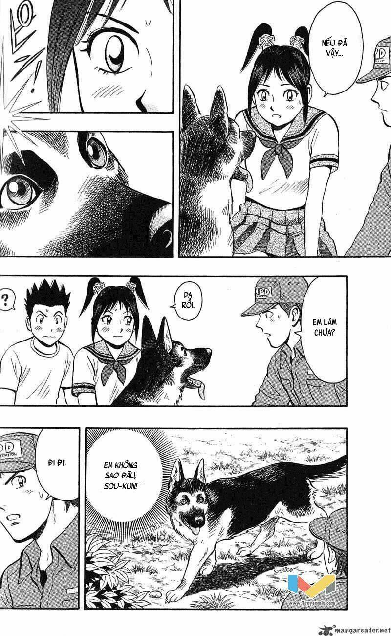 animal sense chapter 12 18