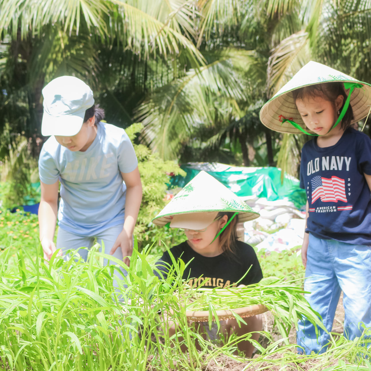 Trọn Gói 2N1D Nghỉ Dưỡng Xanh Tại Bến Tre RiverSide Resort. Bao Gồm Ăn Ba Bữa.