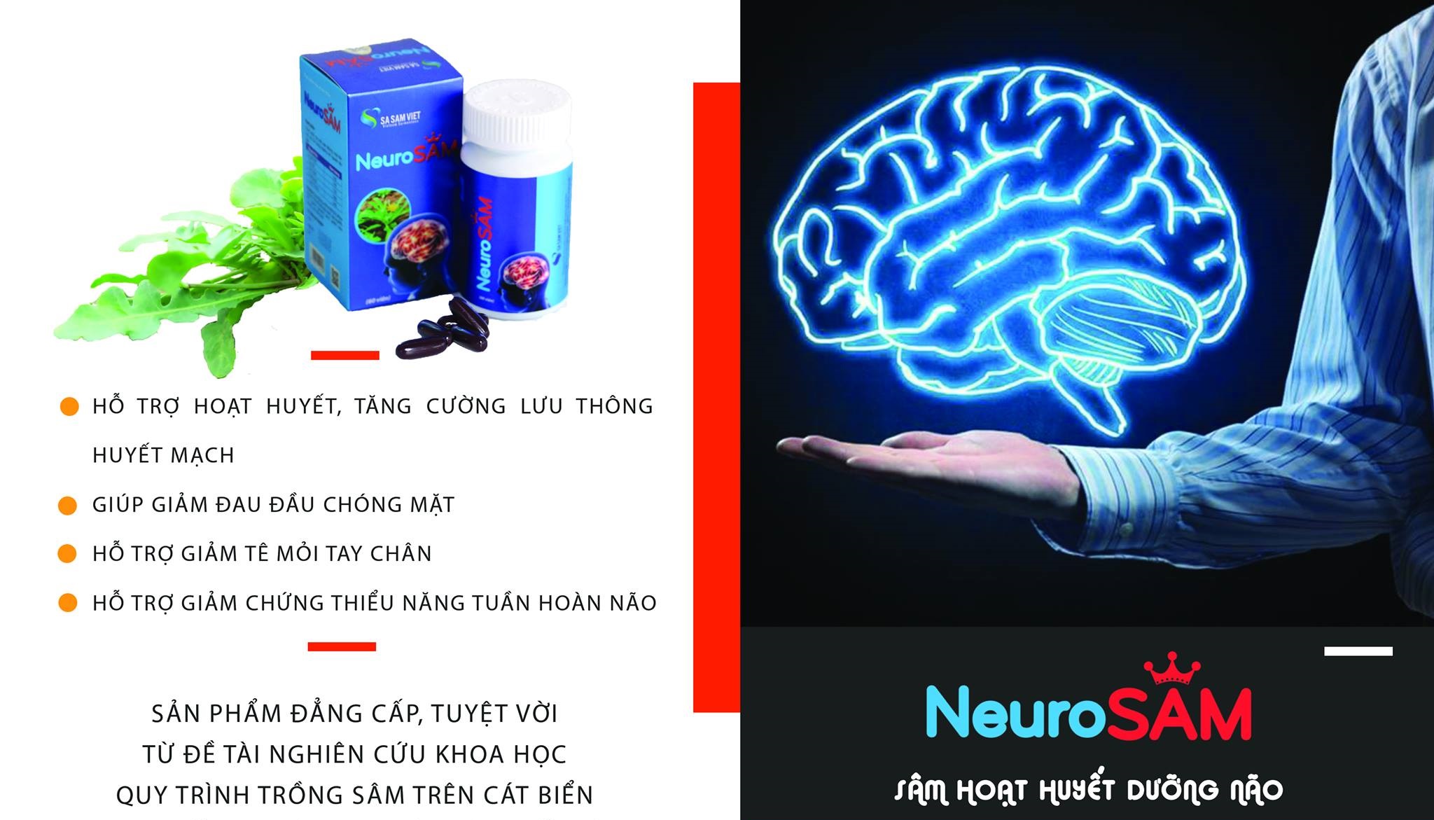 Sâm hoạt huyết dưỡng não NEUROSAM - Hộp 60 viên, Hỗ trợ hoạt huyết, giảm đau đầu chóng mặt, tê mỏi chân tay, thiểu năng tuần hoàn não