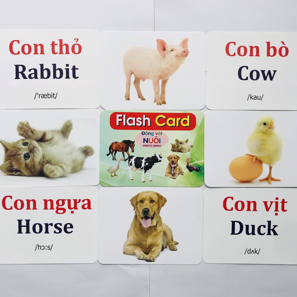 Thẻ Học Thông Minh Cho Bé, Bộ Thẻ Flashcard 19 Chủ Đề Với 256 Thẻ Khổ Lớn, Thẻ Học Song Ngữ Anh - Việt