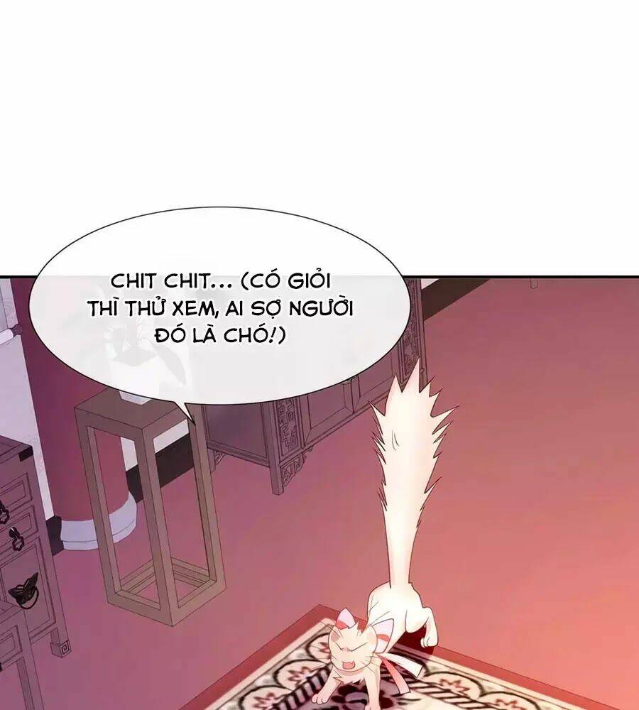 dưỡng thú vi phi chapter 1 92