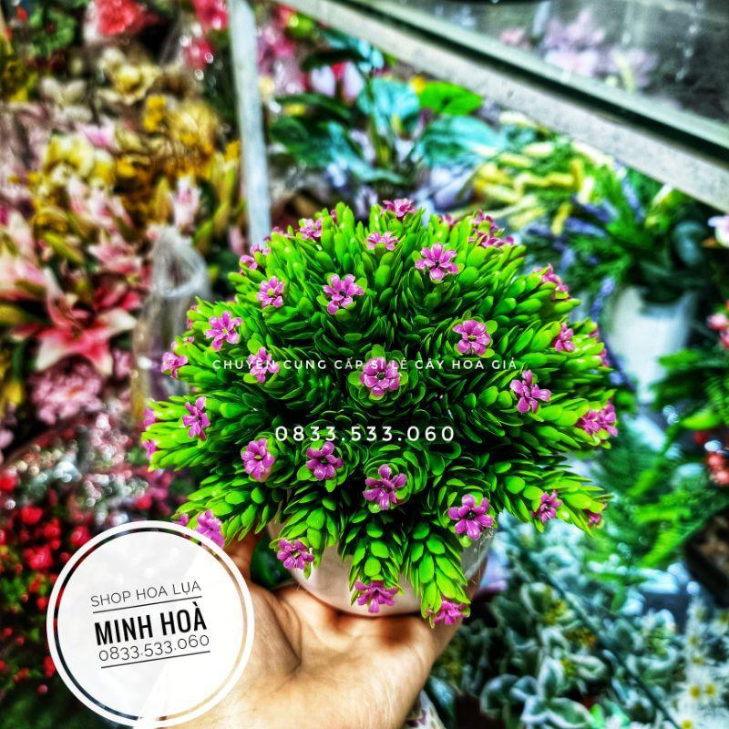 Chậu Hoa Gỉa Mini Trang Trí Bàn Học, bàn Làm Việc, văn phòng. Kích thước 15 cm * 17 cm. Đã kèm chậu. Hàng có sẵn
