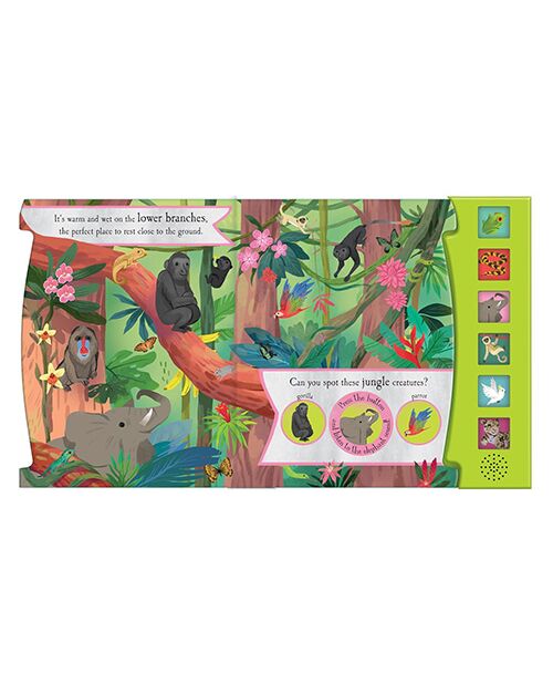 Nature Sound Book - Noisy Jungle
