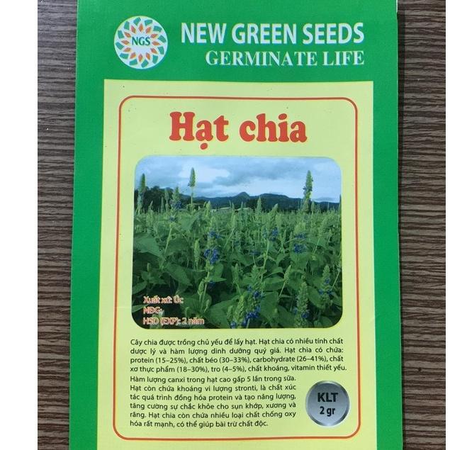 Hạt Giống Hạt Chia - Mỹ  CT505 - Gói 1000 hạt