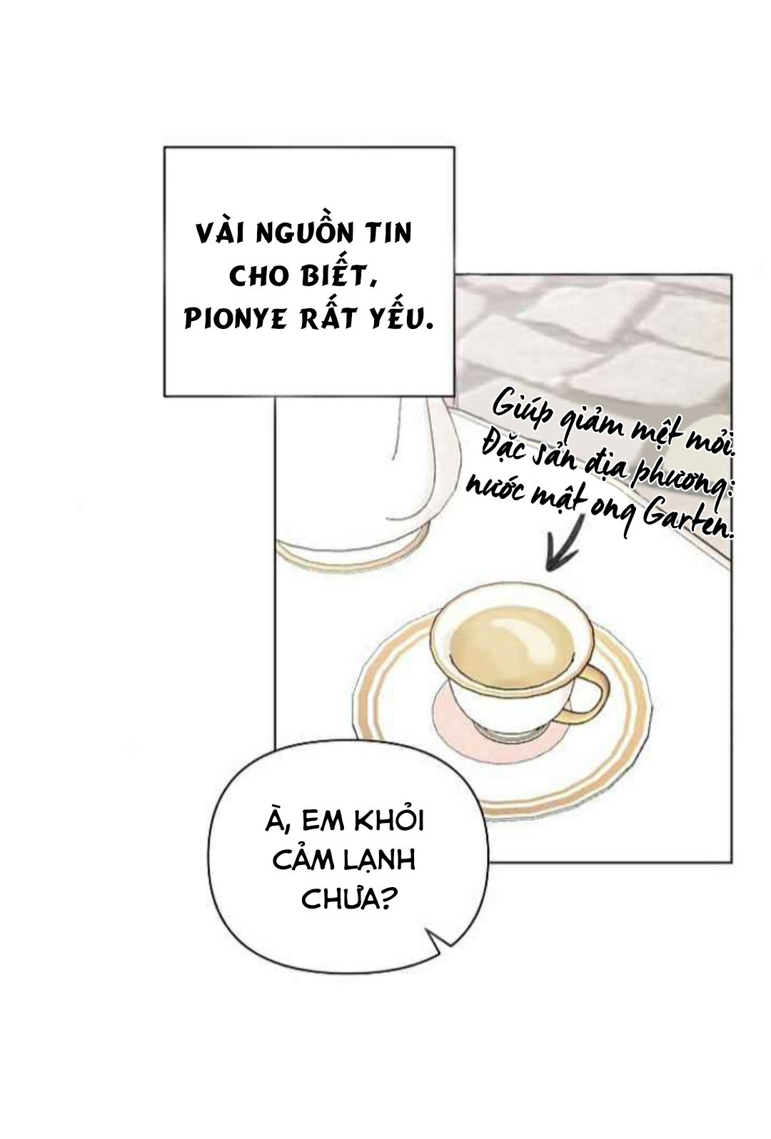 lựa chọn cuối cùng của tôi là nam phụ chapter 1 52