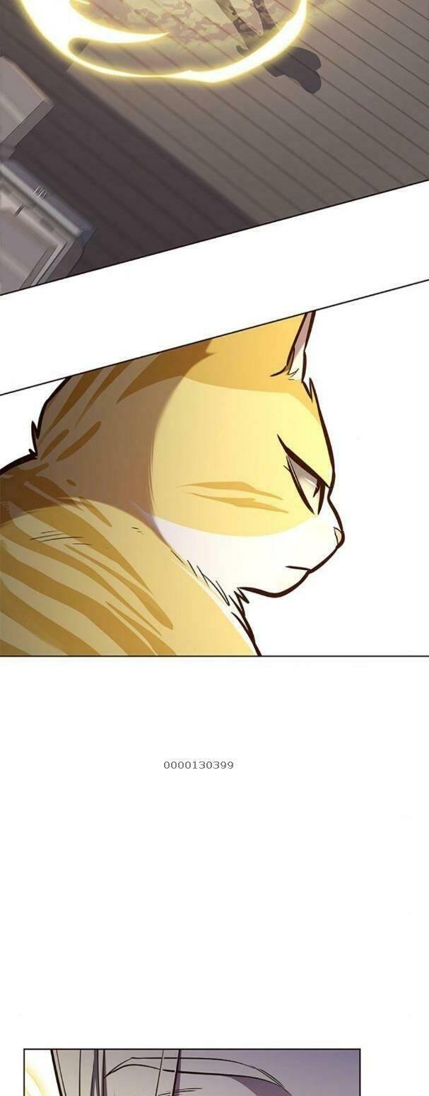 biến thân thành mèo chapter 179 31