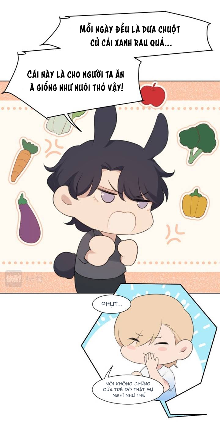 định kiến chapter 41 15