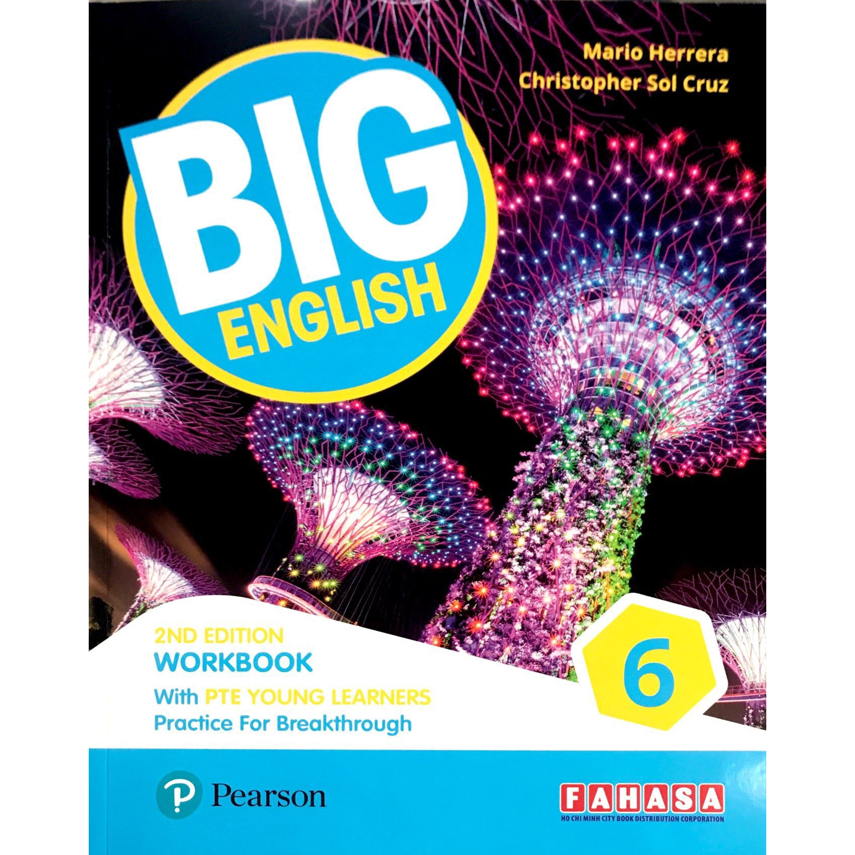 Big English 2ed PTE YL WB6 VN