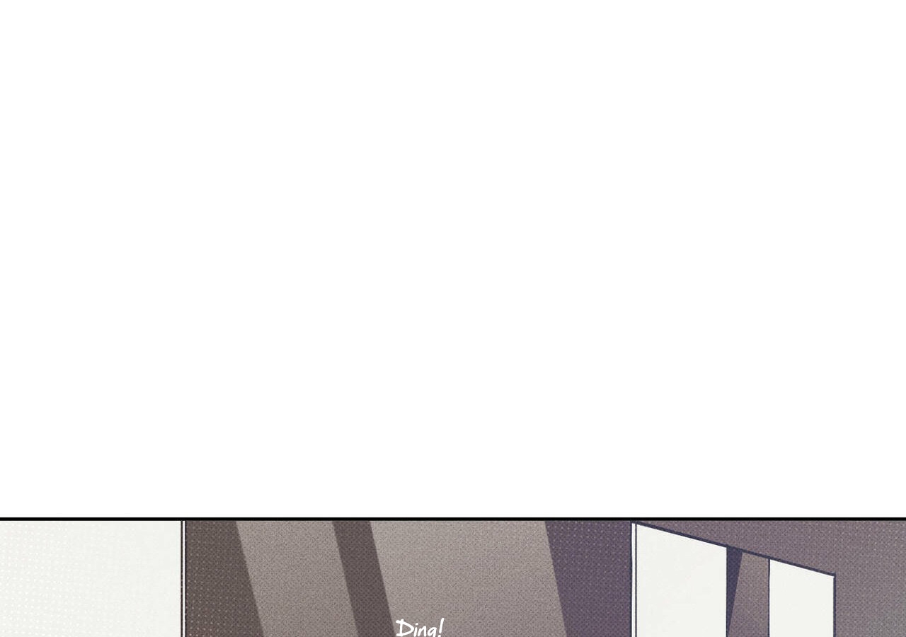 chàng giao pizza và gold palace chapter 1 106