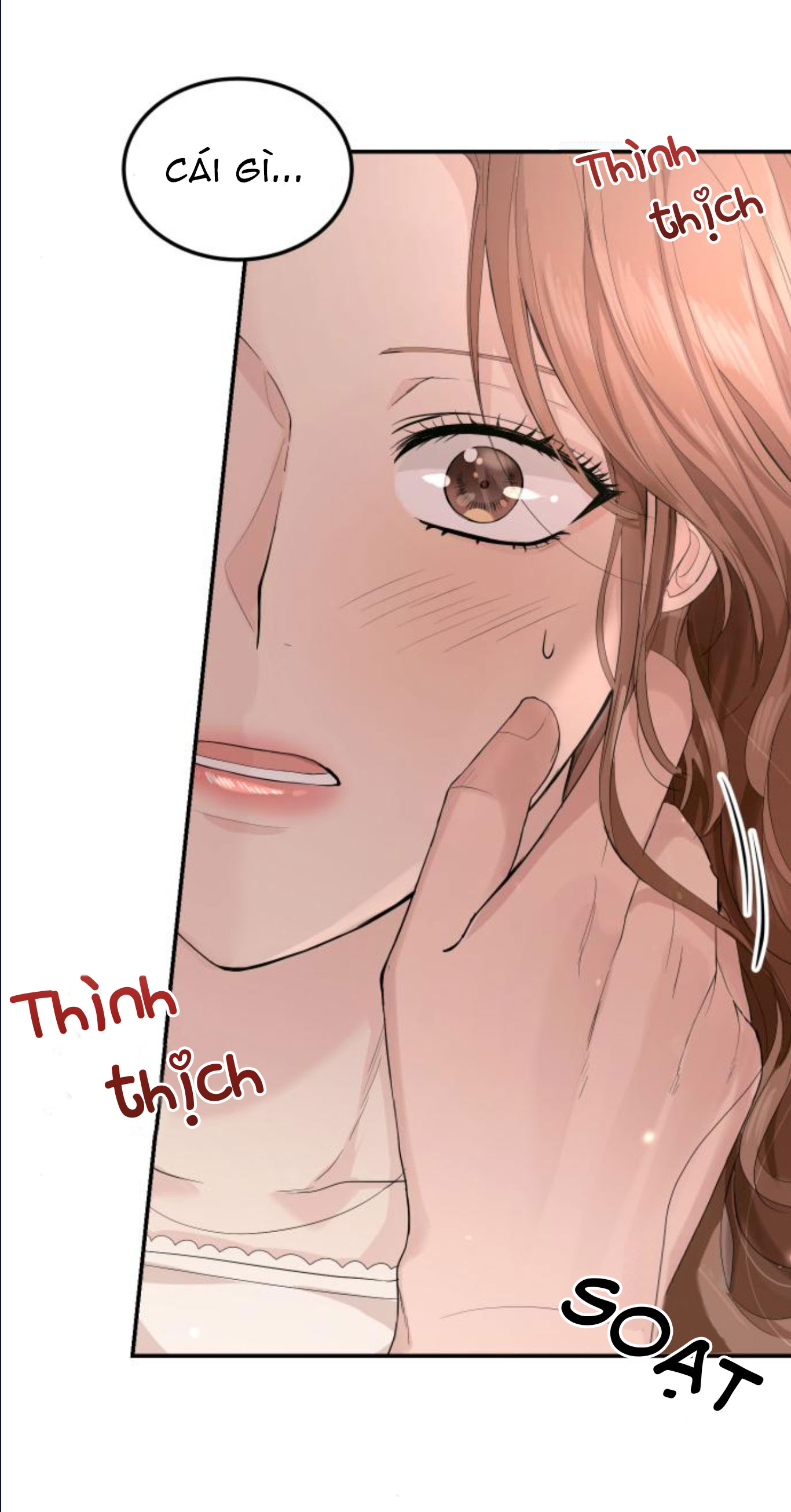 cuộc hôn nhân hoàn hảo chapter 12.2 4