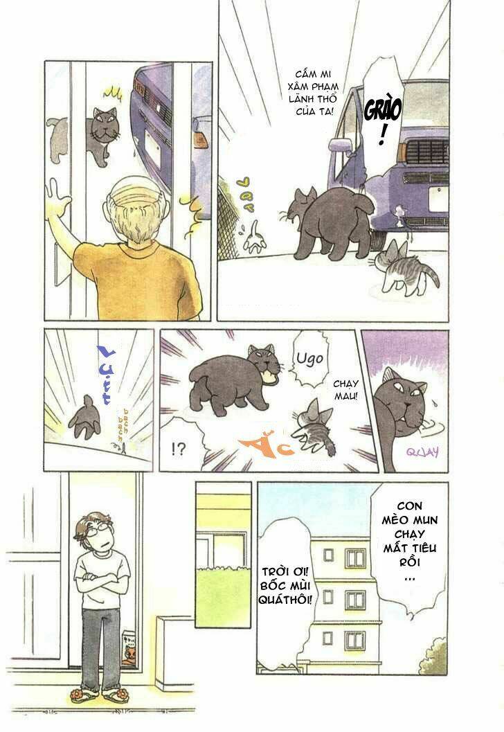 chi's sweet home chapter 41 7