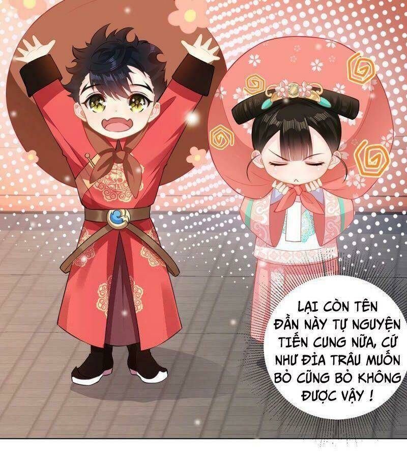 quận chúa vững vàng, thiết lập nhân vật không thể vỡ chapter 24 27