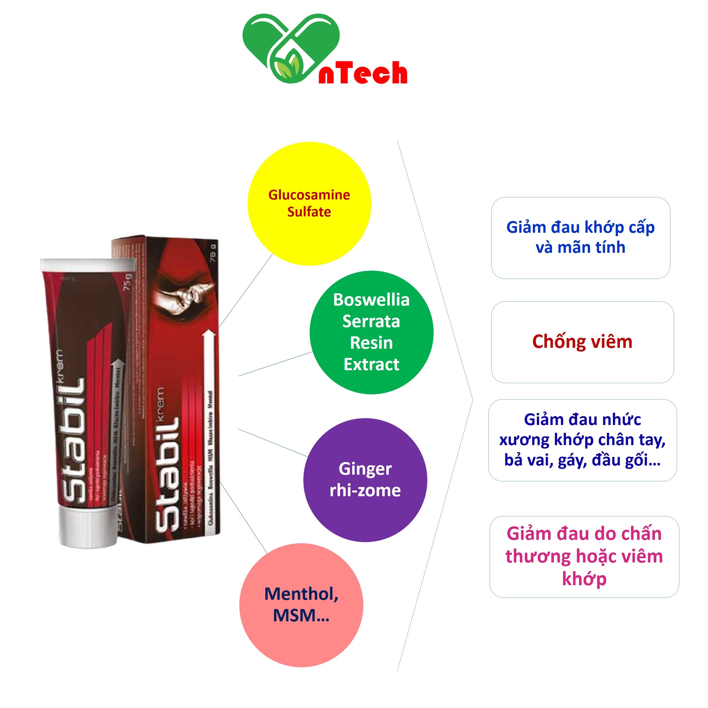 Kem bôi Stabil hỗ trợ giảm đau xương khớp hỗ trợ điều trị viêm khớp tuyp 75g nhập khẩu chính hãng từ Châu Âu