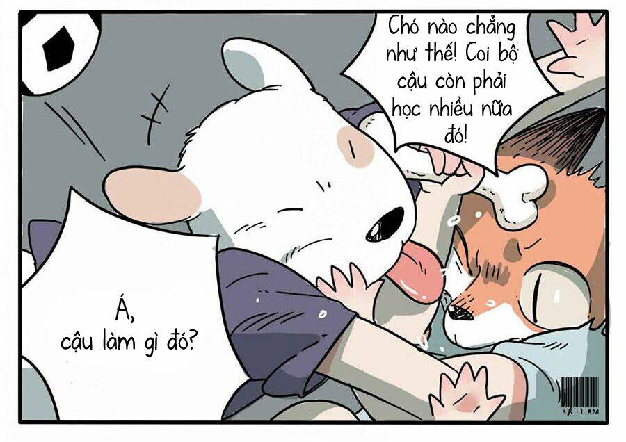 cáo a cát kém tắm chapter 1 18