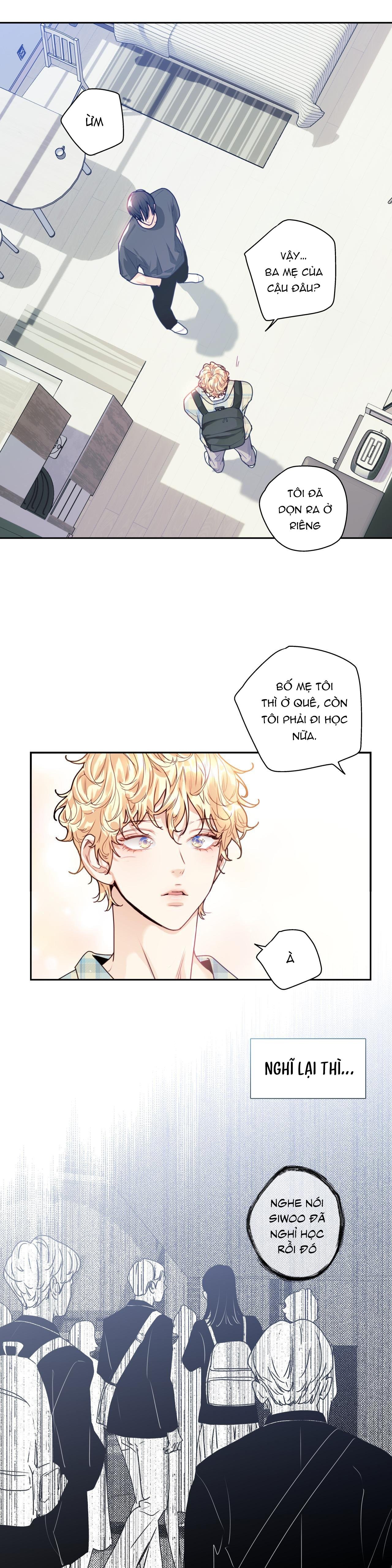 love is an illusion! superstar chapter 12 7