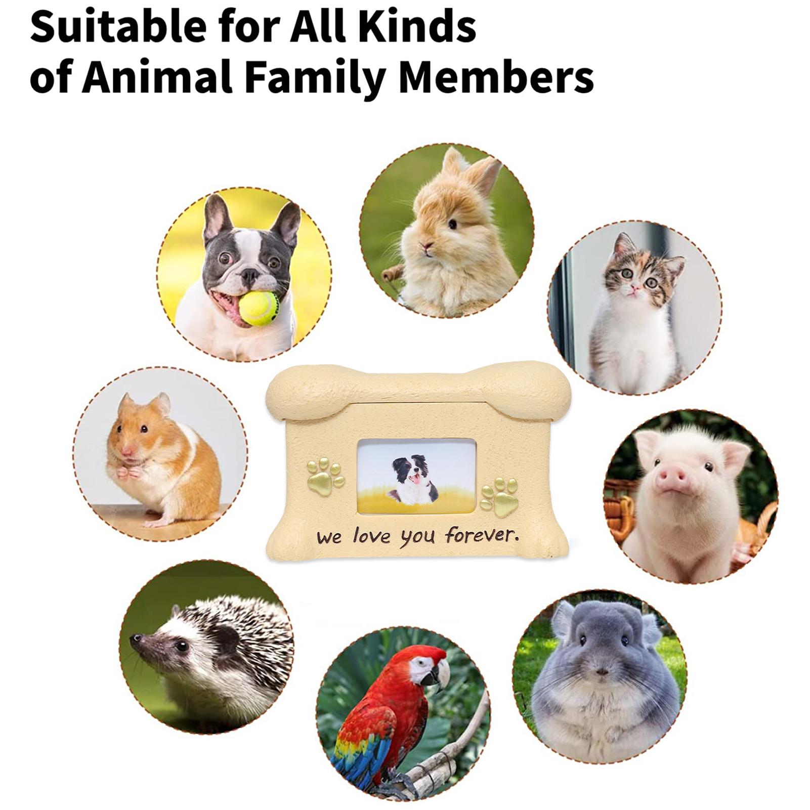 Urne cho vật nuôi, với khung ảnh, nhựa, trí nhớ cho chó và mèo