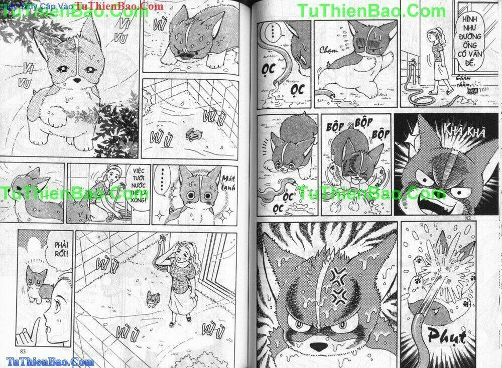 chó con mo mo chapter 4 42