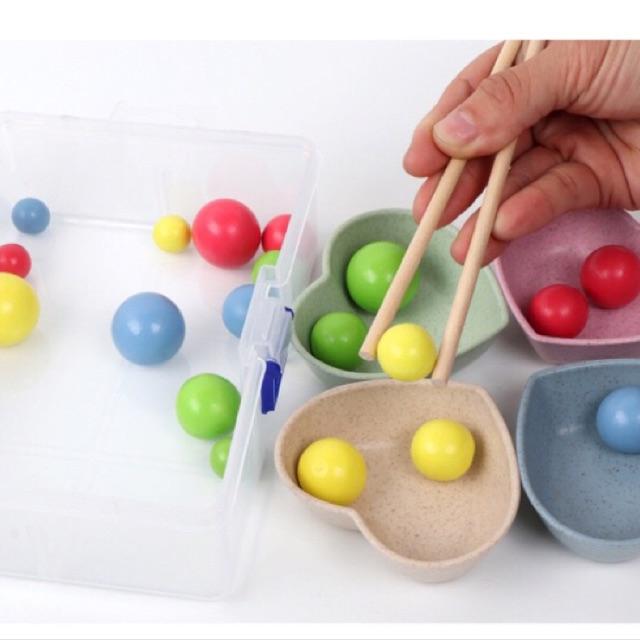 Đồ chơi gỗ Montessori bộ gắp hạt số đếm