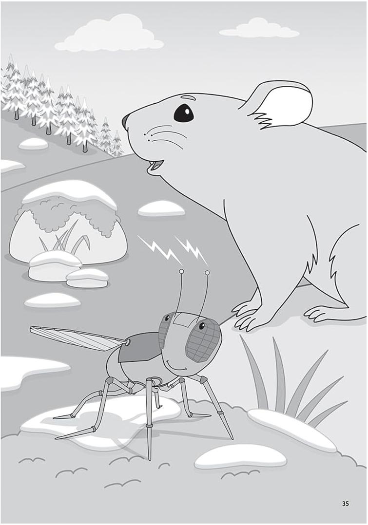 Sách ngoại văn: Chapter Book Sunbird George The Flybot And The Lost Camera On Mount Everest