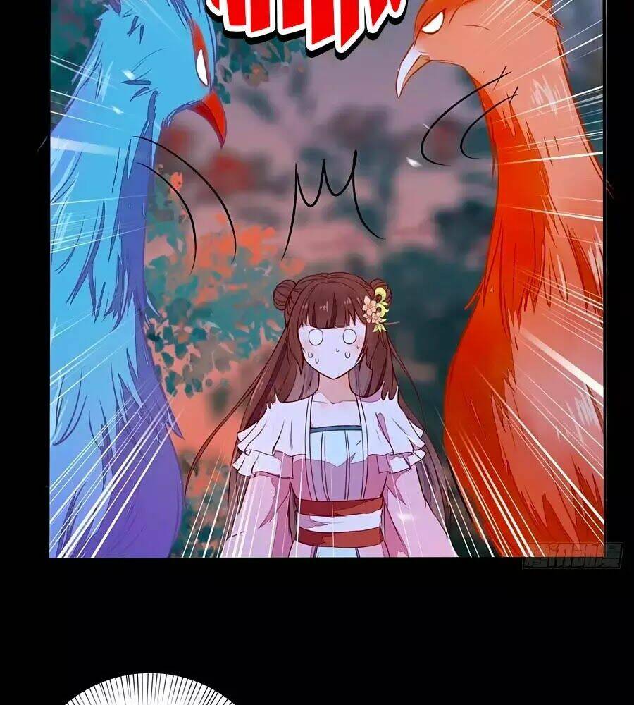 thần y khí nữ: ngự thú cuồng phi của quỷ đế chapter 70 13