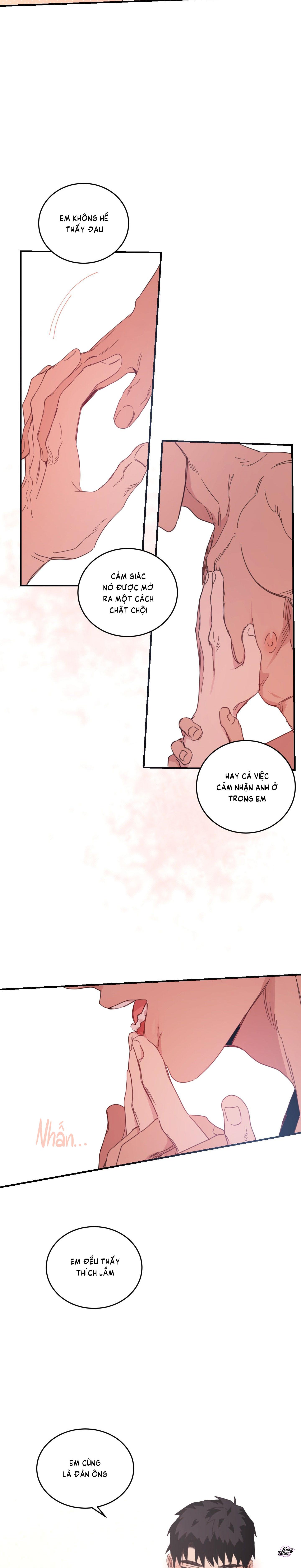 căn nhà mặt trời mọc chapter 24 4