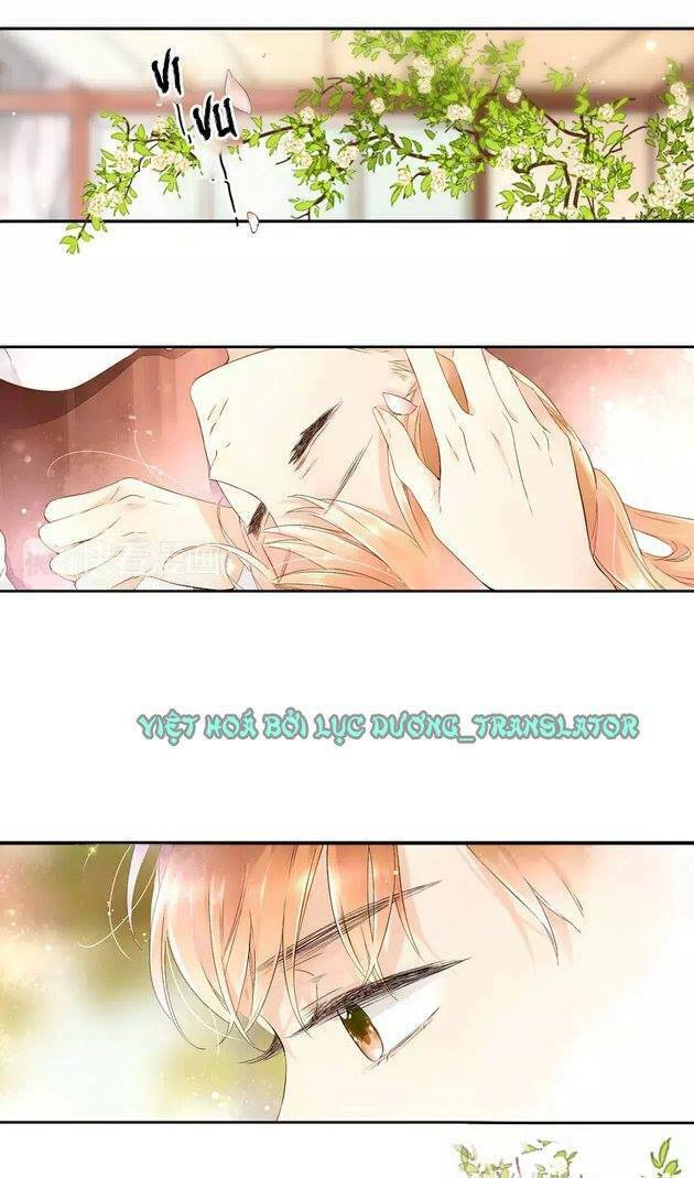 Tình yêu là màu hoa anh thảo chapter 20.5 3