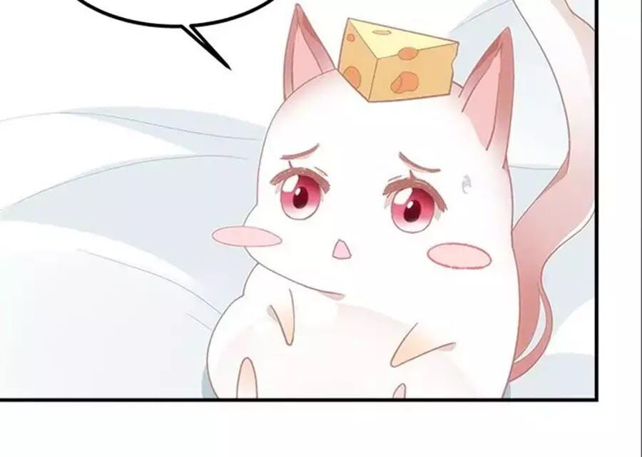 ám dạ vô thường chapter 54 72