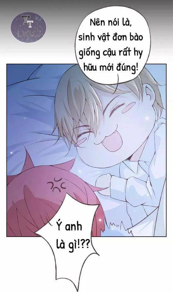 tôi không phải đa nhân cách chapter 34 40