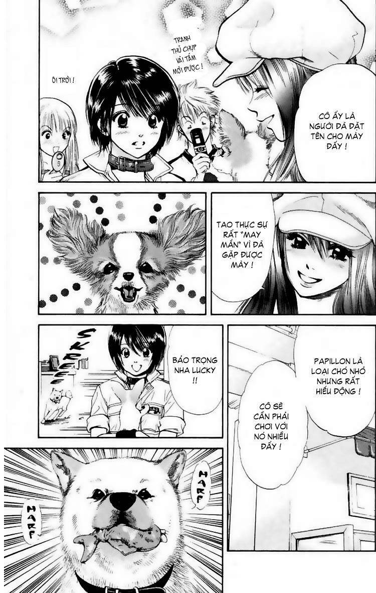 cô nàng yêu chó chapter 16 15