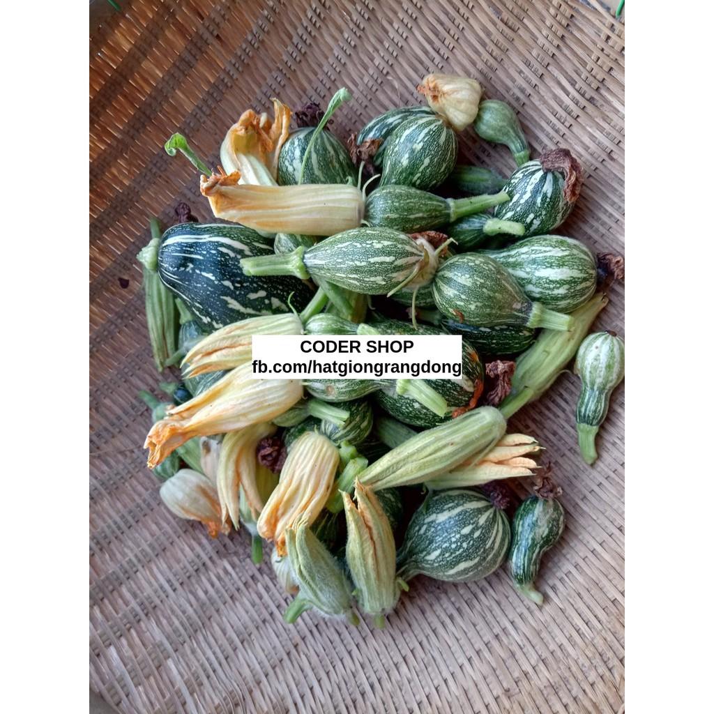 Hạt Giống Bí Nụ Rạng Đông 0.5Gram