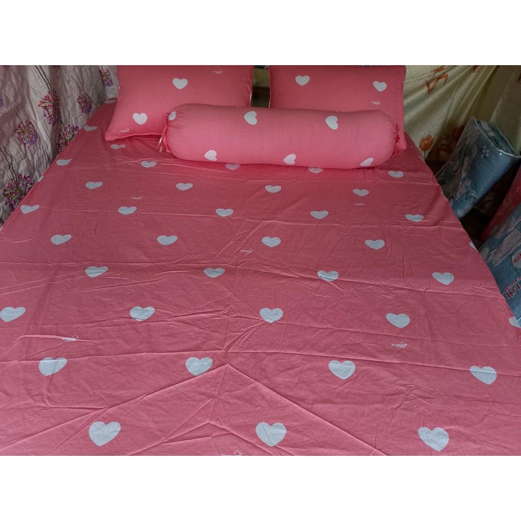 Bộ Drap gối Cotton  vải THẮNG LỢI
