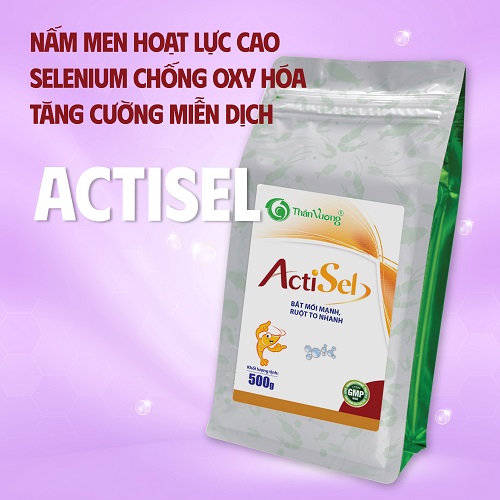 NẤM MEN SỐNG CHO TÔM GIÚP TĂNG SỨC KHỎE ĐƯỜNG RUỘT, NONG TO ĐƯỜNG RUỘT, GIÚP RUỘT ĐEN, PHÂN CHẮC, HẤP THU THỨC ĂN TỐT ACTISEL