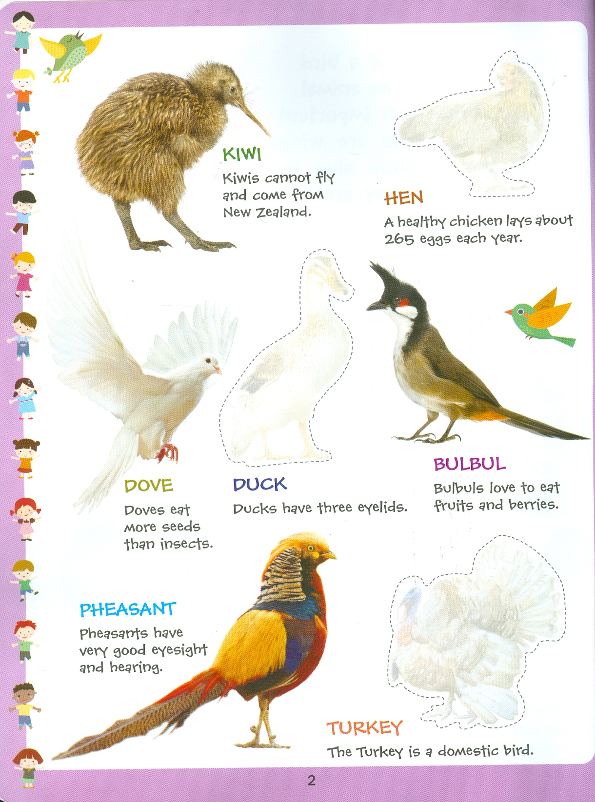 Play With Sticker - Birds (Chơi Cùng Hình Dán - Các Loài Chim)