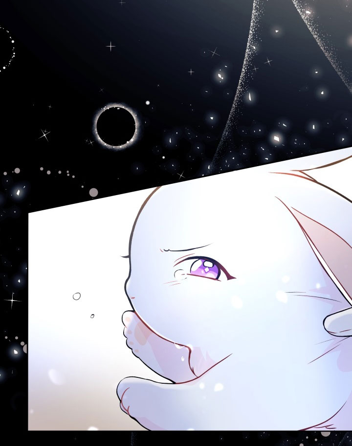 mối liên kết giữa báo đen và bé thỏ chapter 1 30