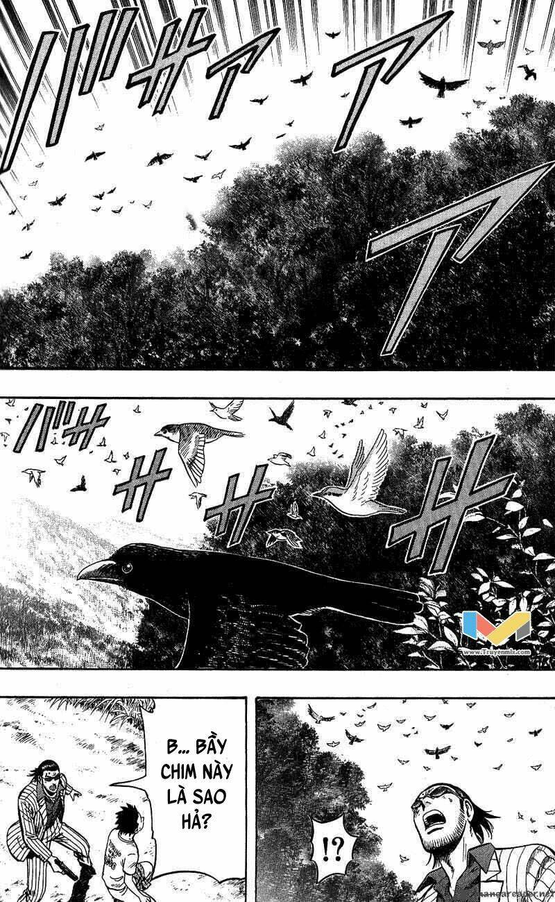 animal sense chapter 13 24