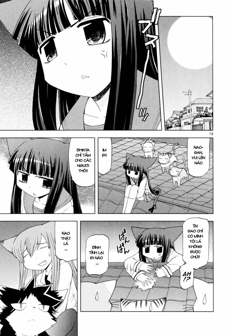 koi neko chapter 40 20