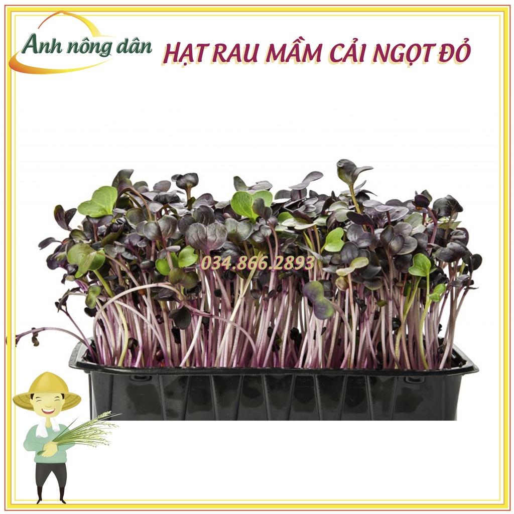 Gói 50g Hạt rau mầm rau cải ngọt đỏ - Hạt rau chất lượng cao, nảy mầm tốt