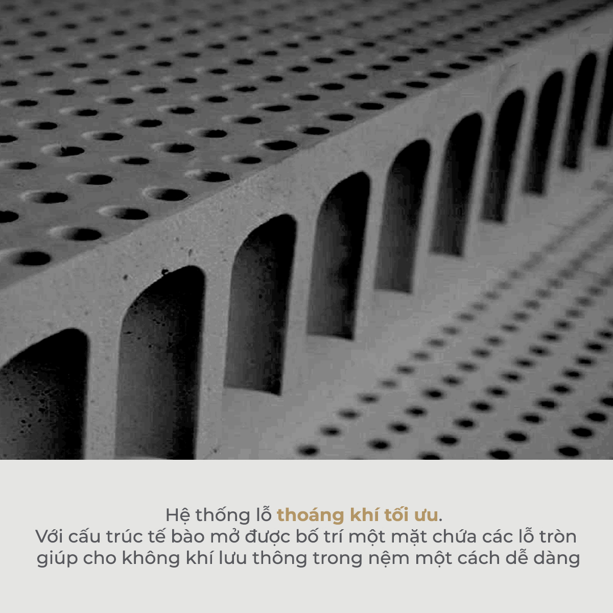 Nệm cao su than hoạt tính Thuần Việt Titan Grey - Đầy Đủ Kích Thước - Nâng Đỡ Êm Ái, Kháng Khuẩn Khử Mùi, Thoáng Khí - Miễn Phí Vận Chuyển, Bảo Hành 15 Năm, Trả Góp 0%
