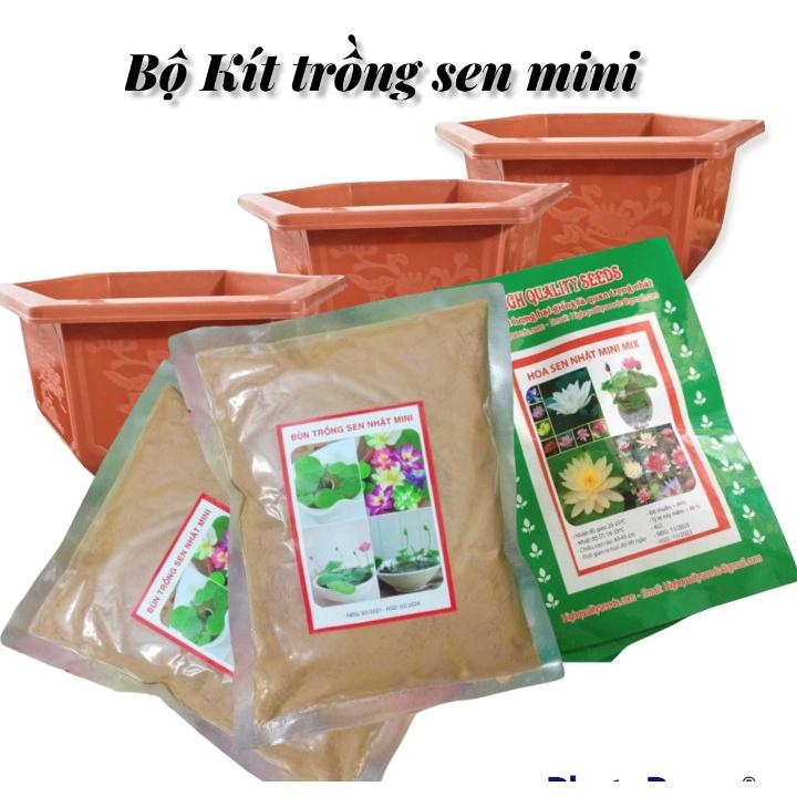 Bộ Kít Trồng Sen Mini