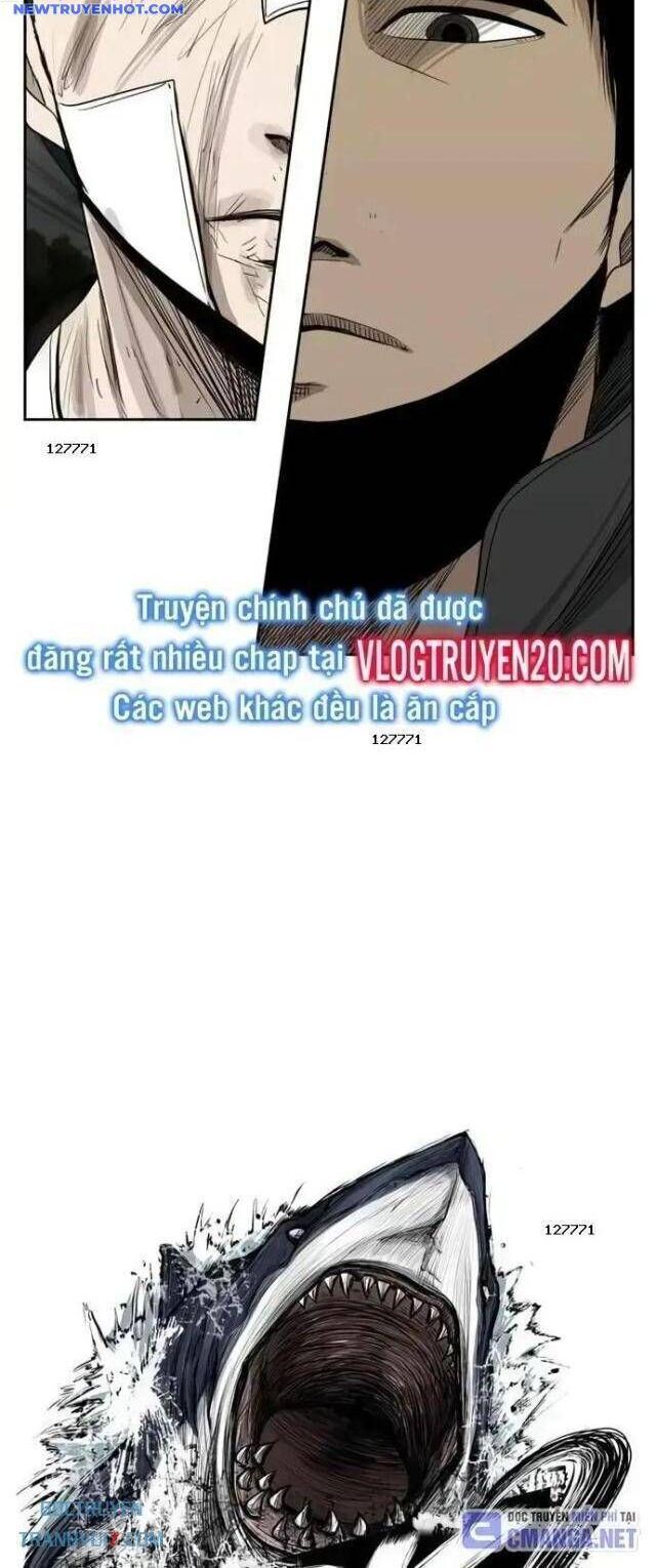 shark - cá mập chapter 90 5