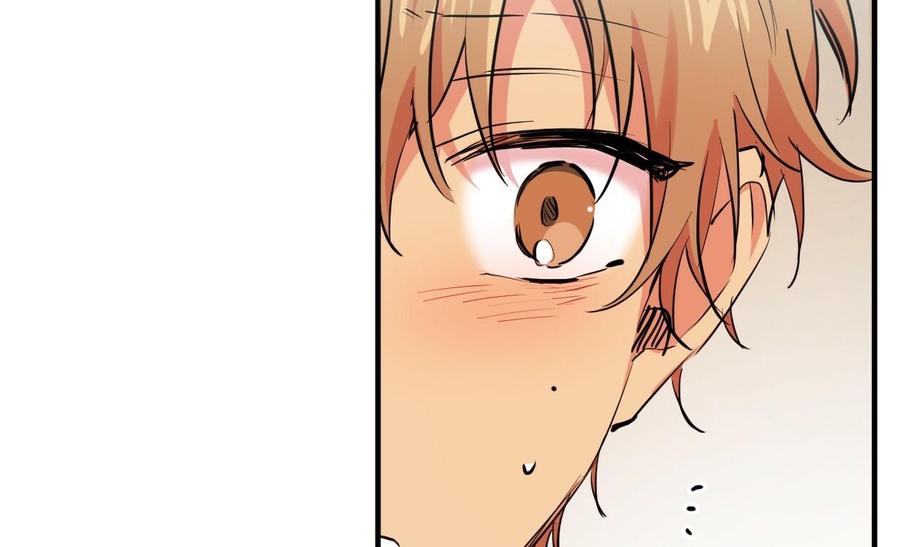 đàn thỏ của habibi chapter 35 139