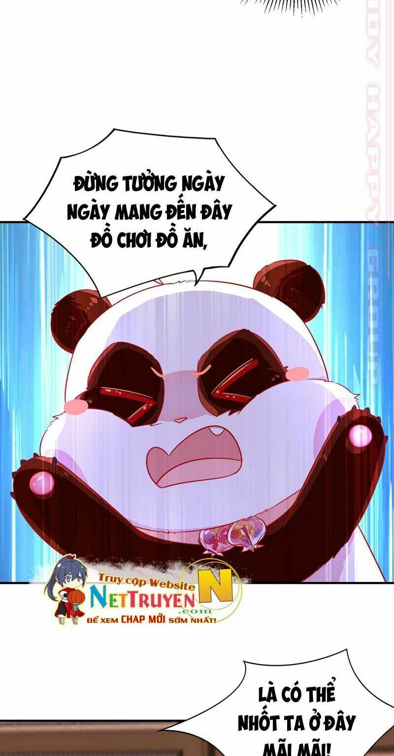 thiên thần gấu trúc muốn được ôm chapter 59 6