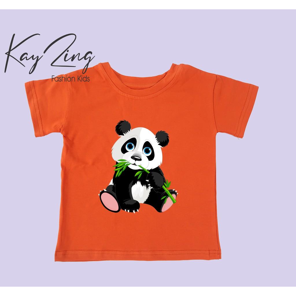 Áo thun trẻ em nam cotton 100% các màu : Mã 044
