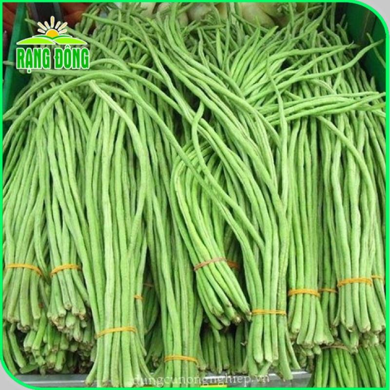 Hạt giống Họ Đậu trồng quanh năm, sinh trưởng khỏe, Rau củ quả trồng chậu - Hạt giống Rạng Đông