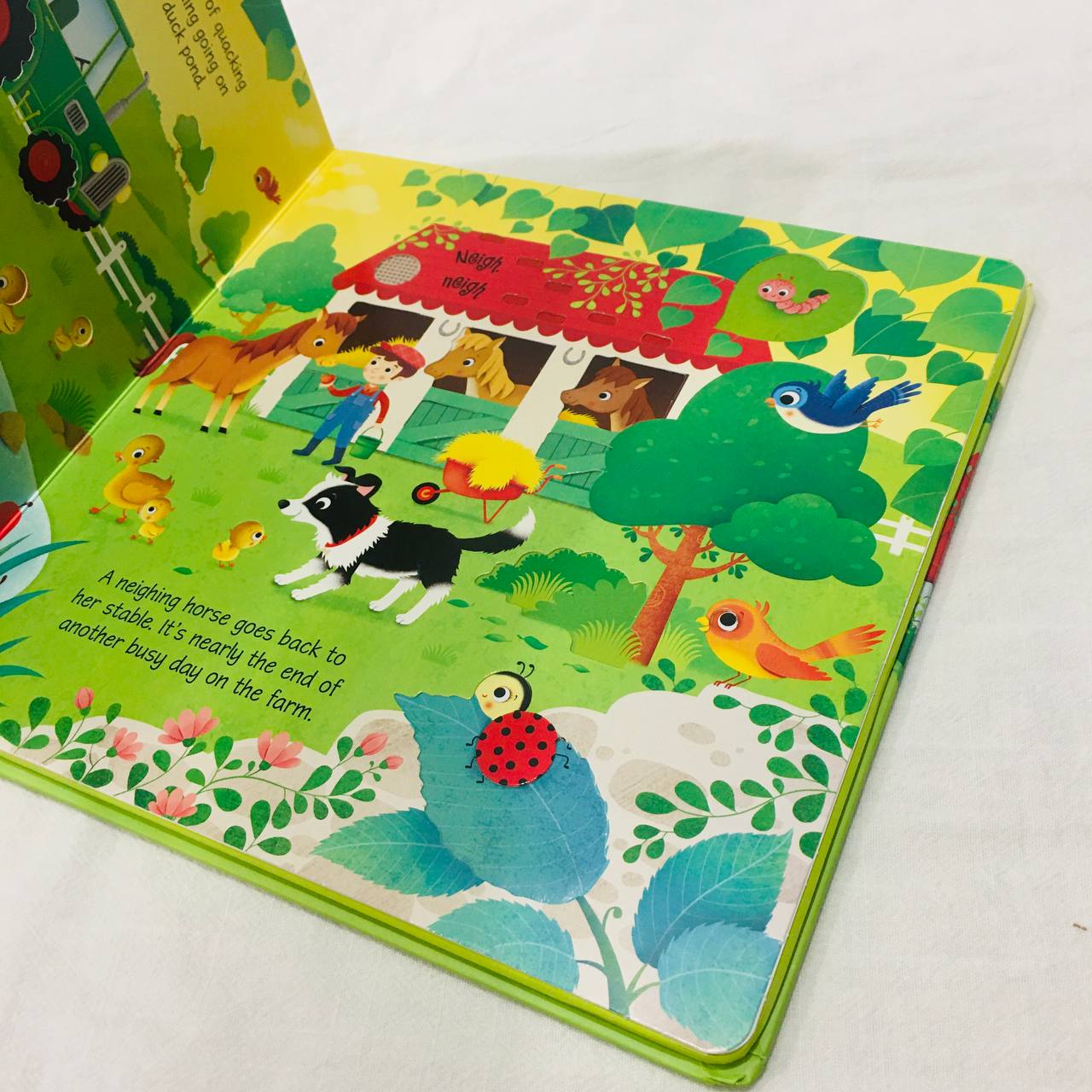 Usborne Farm Sounds