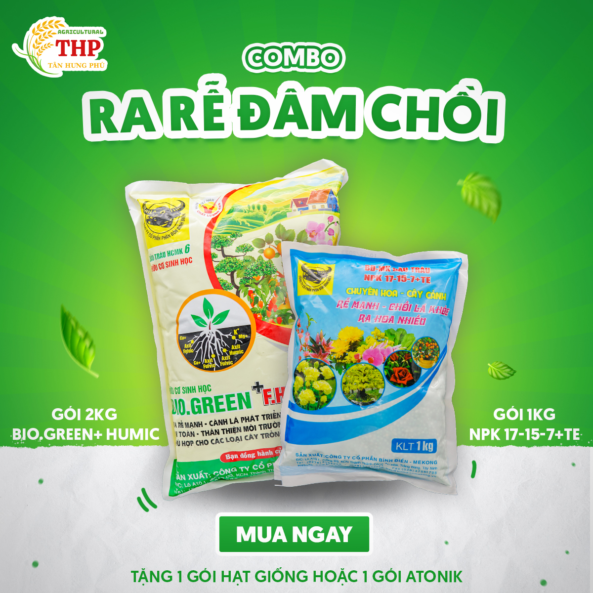 COMBO RA RỄ ĐÂM CHỒI | CHUYÊN RAU ĂN LÁ | COMBO CHĂM SÓC CÂY
