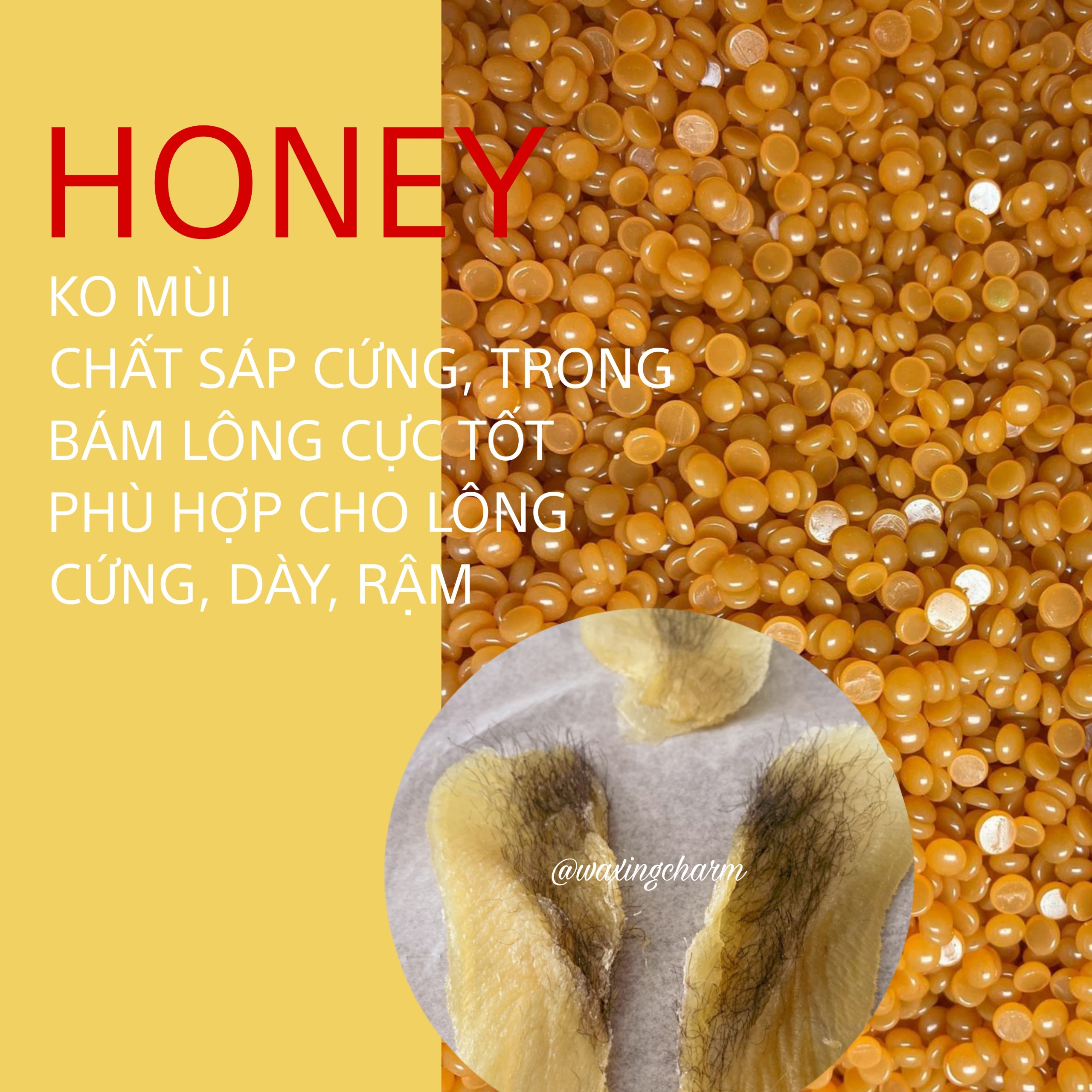 COMBO NỒI NẤU SÁP PRO-WAX 200 + 100GR SÁP WAX LÔNG + 50ML MỠ TRĂN TẶNG QUE + HDSD